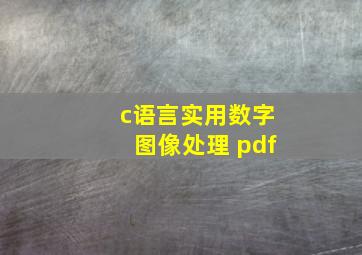 c语言实用数字图像处理 pdf